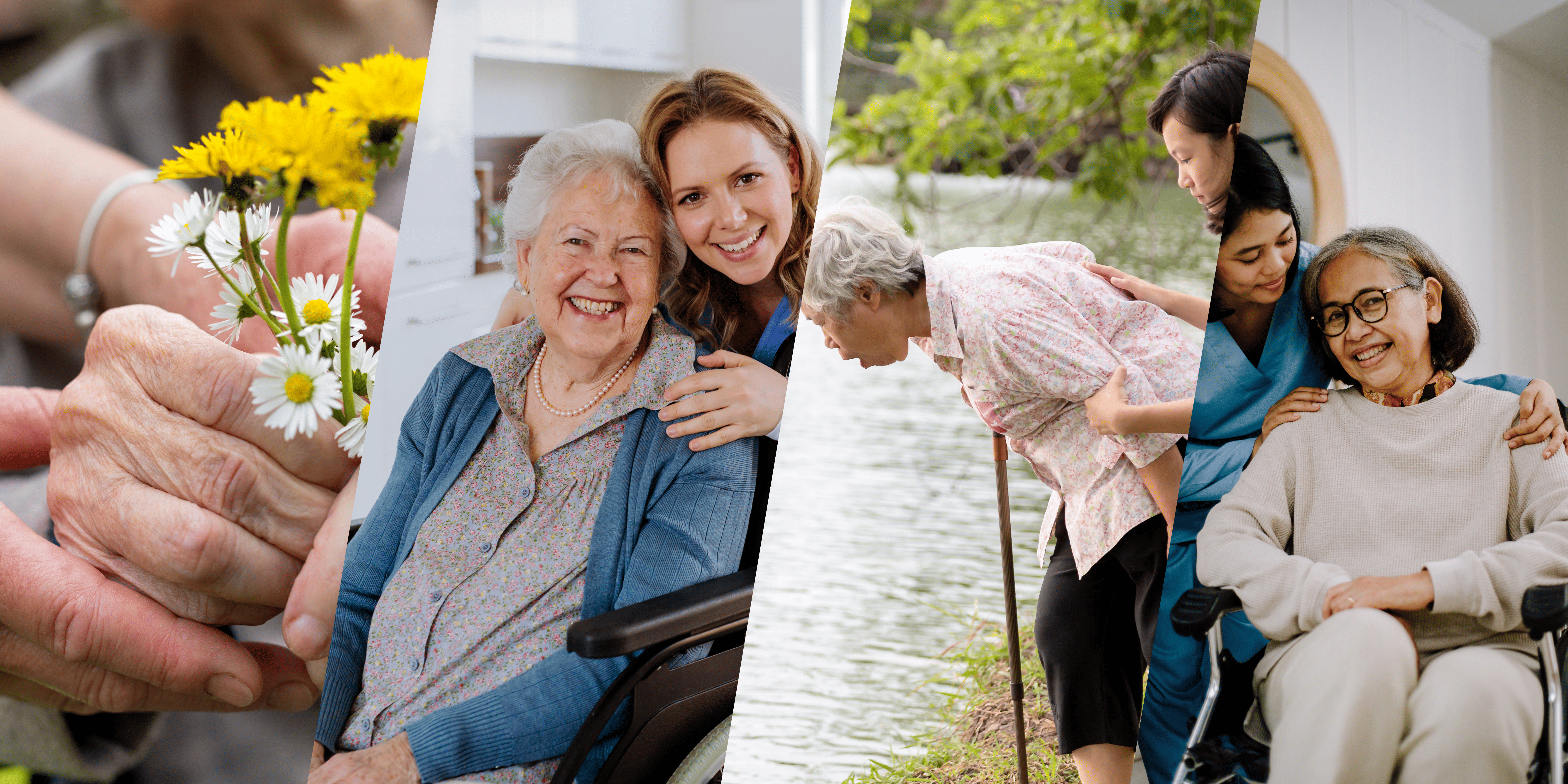 Elderly Care Hygiene