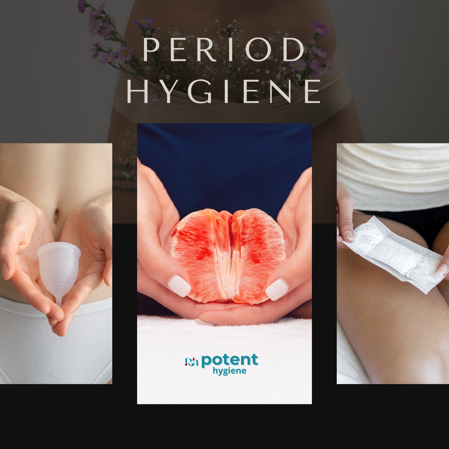 Menstrual Cup and Organic Panty Liners Combo