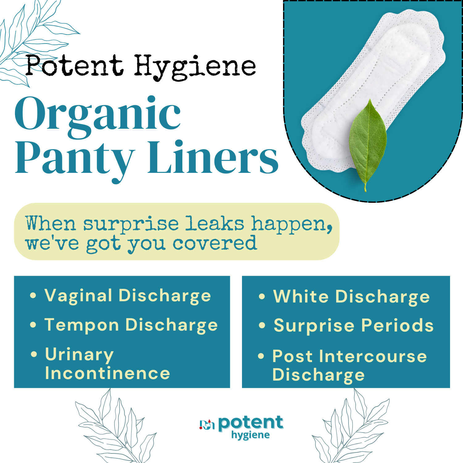Organic Sanitary Pads and Panty Liners Combo