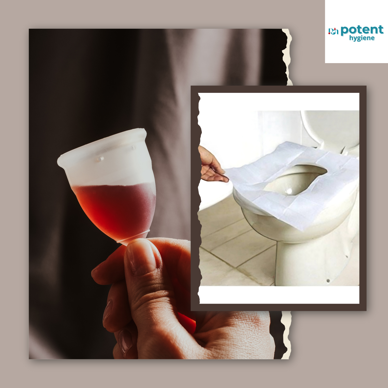 Menstrual Cups and Toilet Seat Guards Combo
